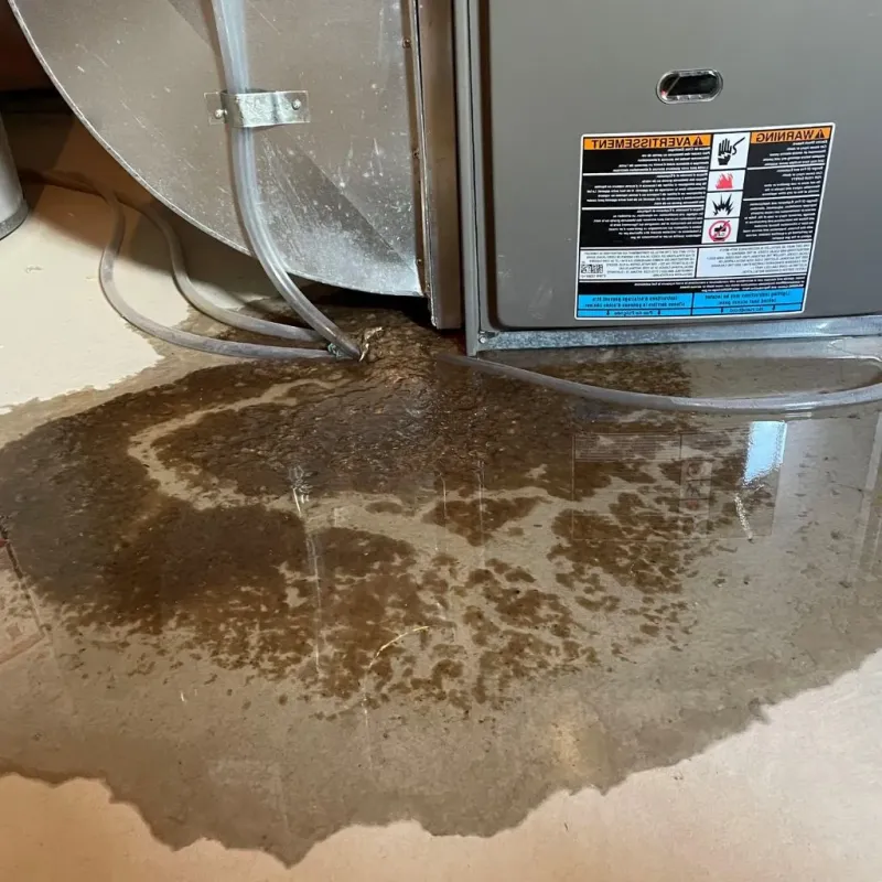 Pipe Burst and Leak Restoration in Folcroft, PA
